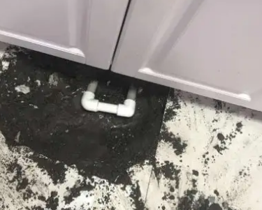 金沙查漏水哪家好